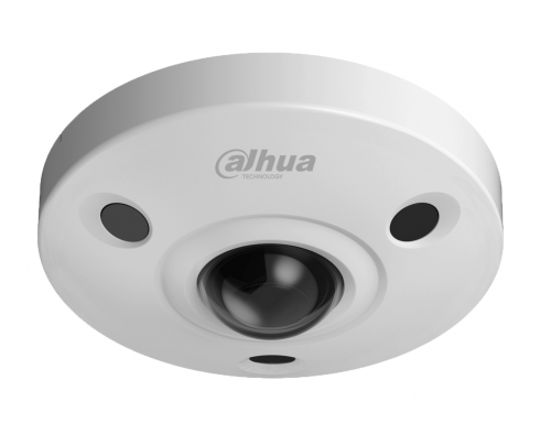 Dahua Fisheye Cameras