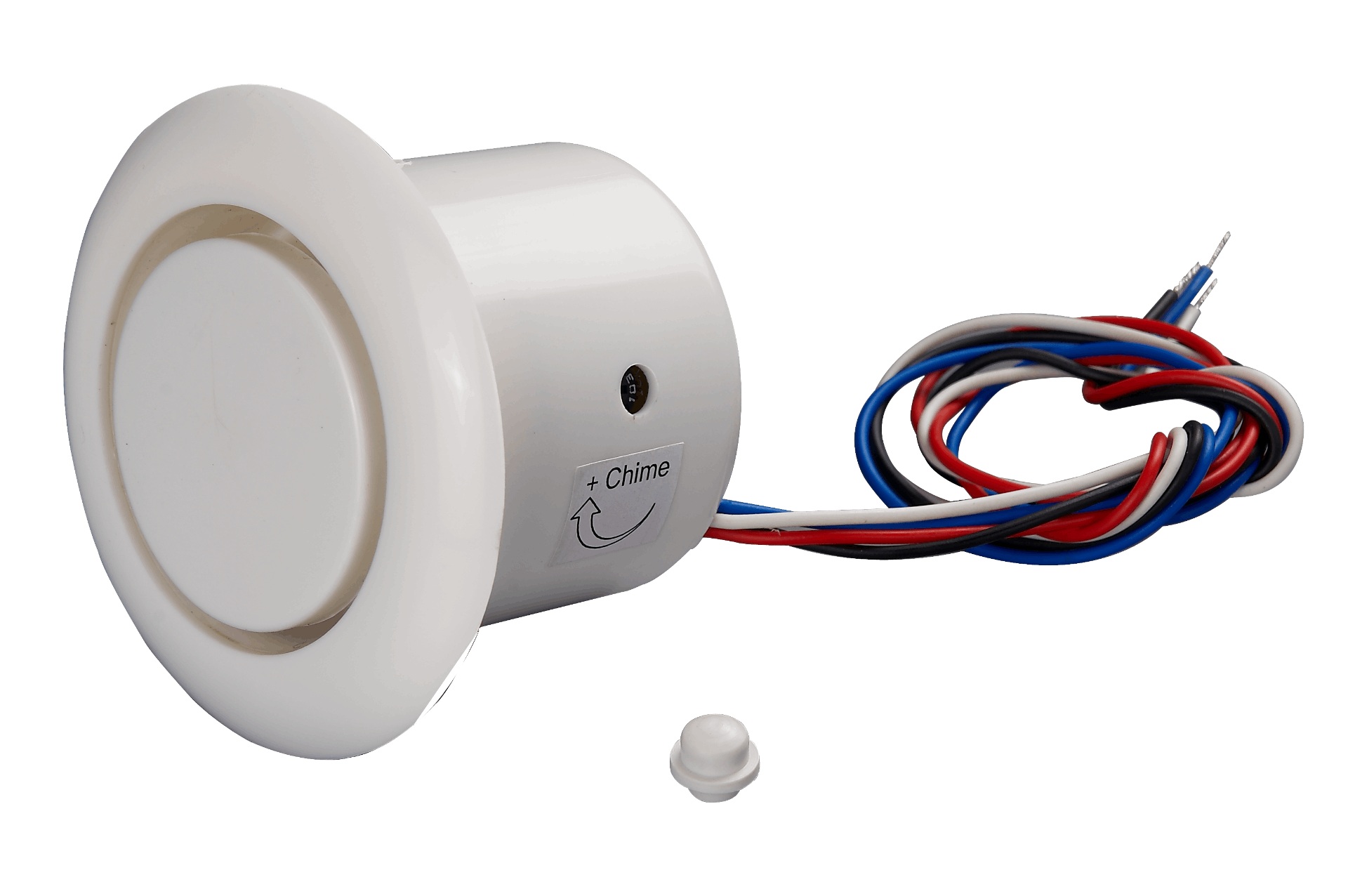 secor WP11